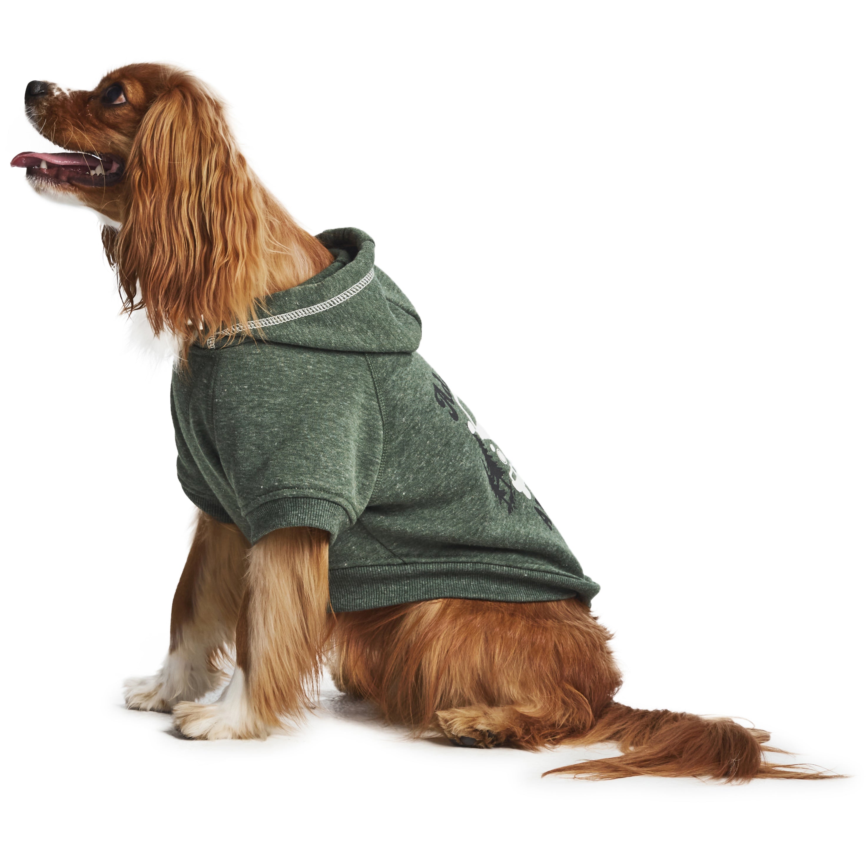 HOTEL DOGGY Play Dog Sweater, Green Pastures, X-Small 