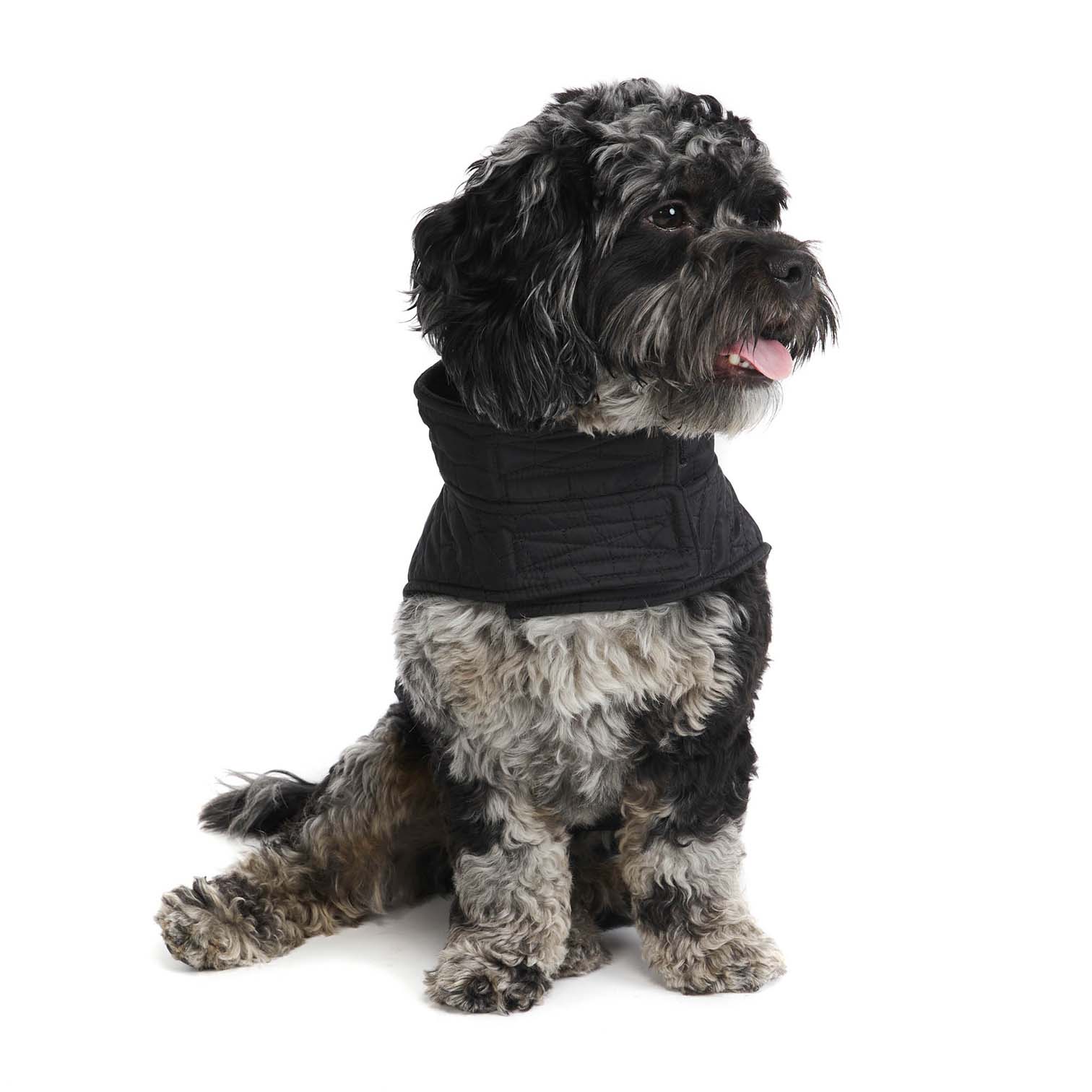Lightweight Quilted Puffer Vest – hoteldoggycom